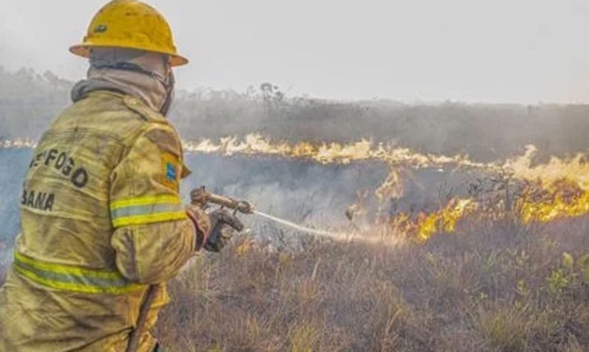Governo federal investiga possível ação organizada em queimadas Governo investiga se há organização por trás dos incêndios no Amazonas