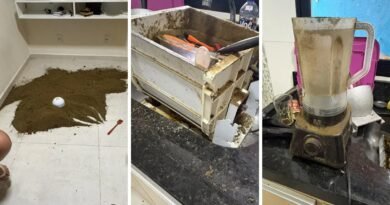 Polícia Civil encontra fábrica de drogas e prende três suspeitos em Campinas