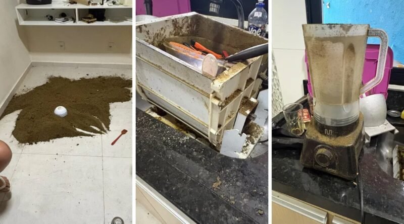 Polícia Civil encontra fábrica de drogas e prende três suspeitos em Campinas